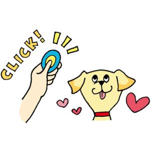 「クリッカーを鳴らす→オヤツを与える」を繰り返すことで、犬は「クリッカーの音=うれしいことが起きる」と学習します。