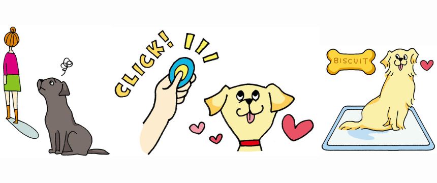 犬の「好き」は楽しみながら増やそう!《RETRIEVER + POCHI archive076》
