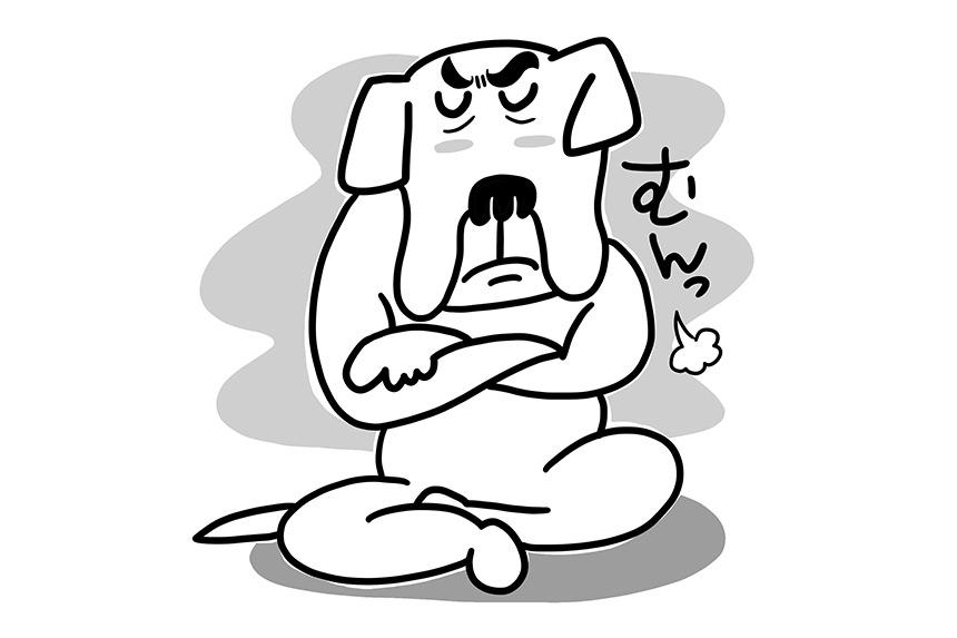 犬が頑固になったらどうしたらいい？《RETRIEVER + POCHI archive005》