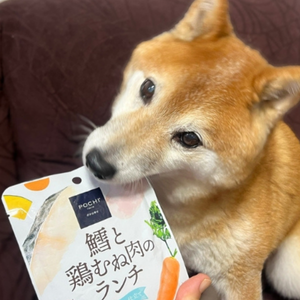 パッケージのまま「いただきま〜す！」
