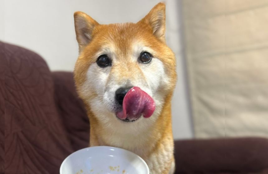 「ちょっと一息」かと思ったら、もうほとんど残ってない！ めったにやらない一気食べを披露してくれました
