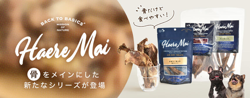 《ハレマエ》骨をメインにした新たなシリーズが登場！