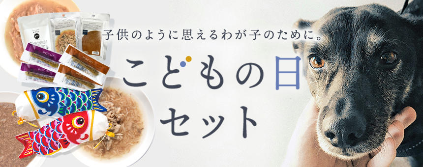 ※完売《こどもの日のお祝いに》旬のカツオセット＆こいのぼり袋付きガムセットのご紹介