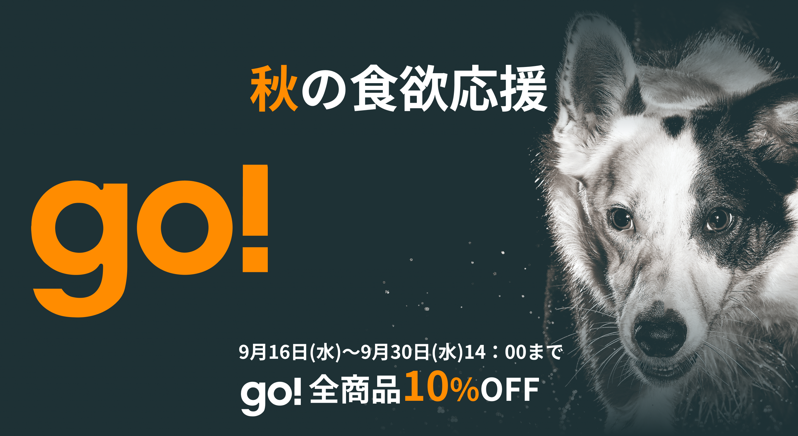 《秋の食欲応援》go!全品10%オフキャンペーン開催!