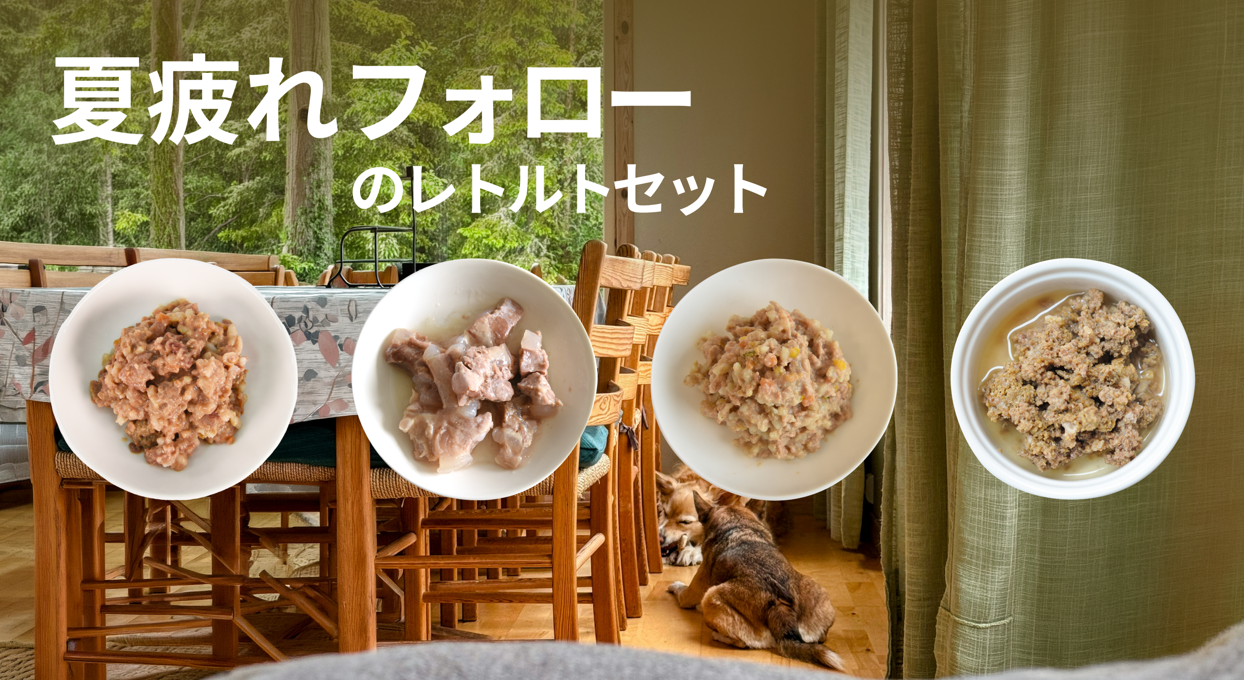 《夏疲れフォロー》疲れた体を労わるレトルトセットのご紹介