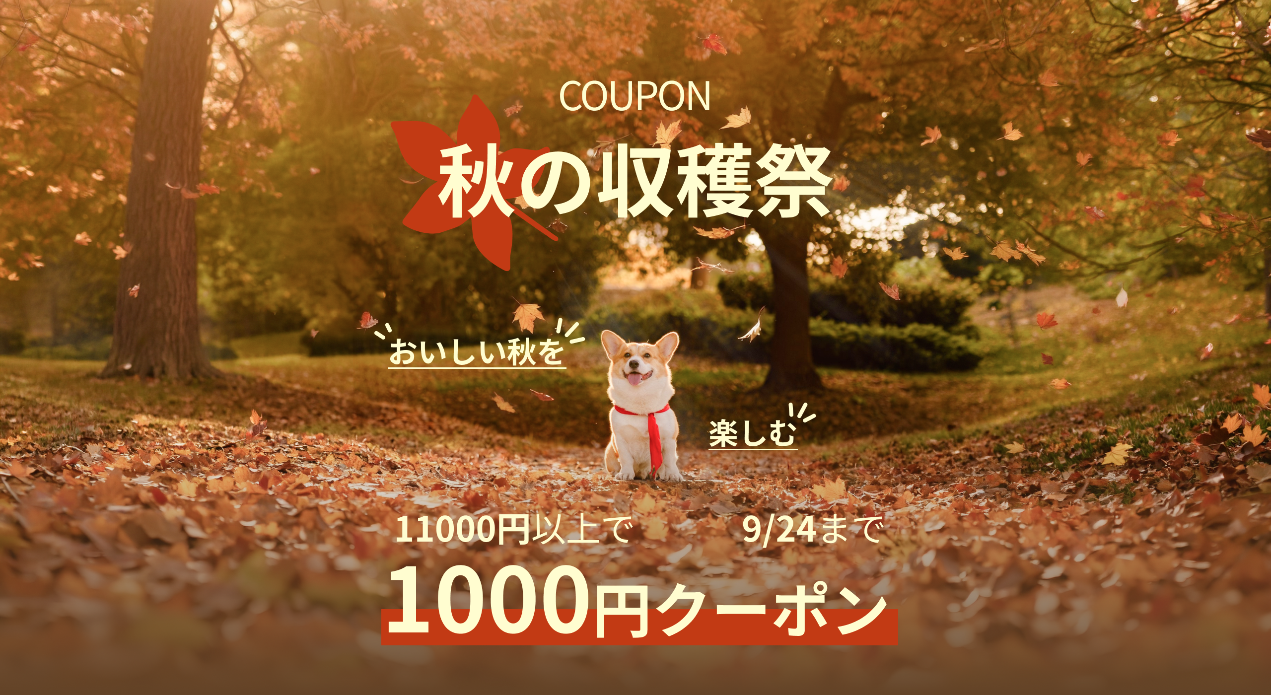 《秋の収穫祭》おいしい秋を楽しむ1000円クーポン&秋の味覚を集めたレトルトセット3種