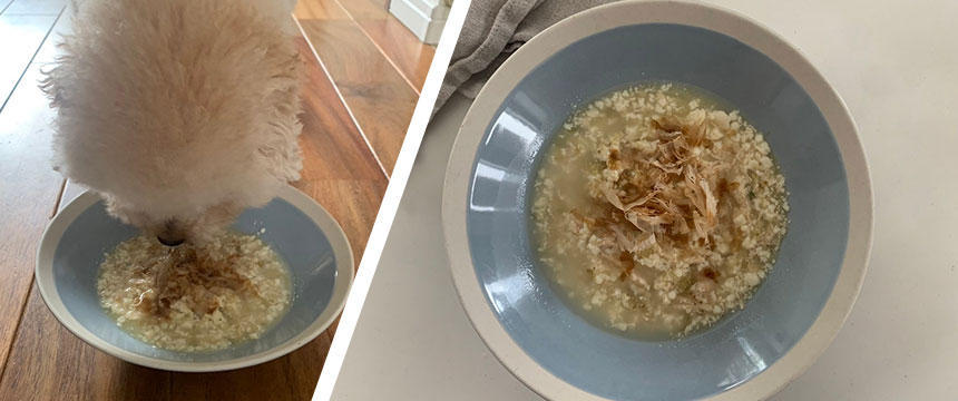 シニアっ子にも食べやすい！ナスと豆腐のとろとろトッピング