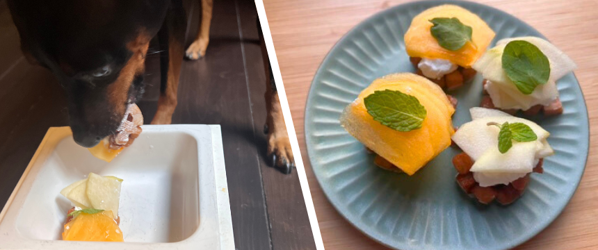 初めてでも安心！犬が喜ぶ手作りごはんレシピ ＃秋の果物のオープンパイ風
