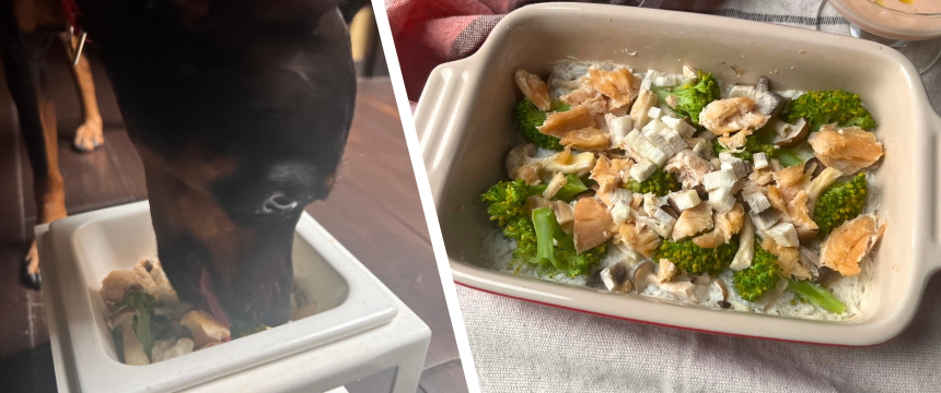 初めてでも安心！犬が喜ぶ手作りごはんレシピ ＃長芋ソースグラタン