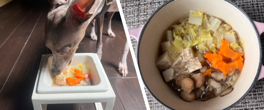 初めてでも安心！犬が喜ぶ手作りごはんレシピ ＃肉団子でなんちゃってすき焼き風
