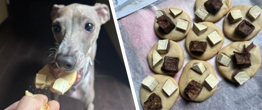 犬と楽しむ！簡単バレンタインレシピ ＃サツマイモとビーフのチャンククッキー