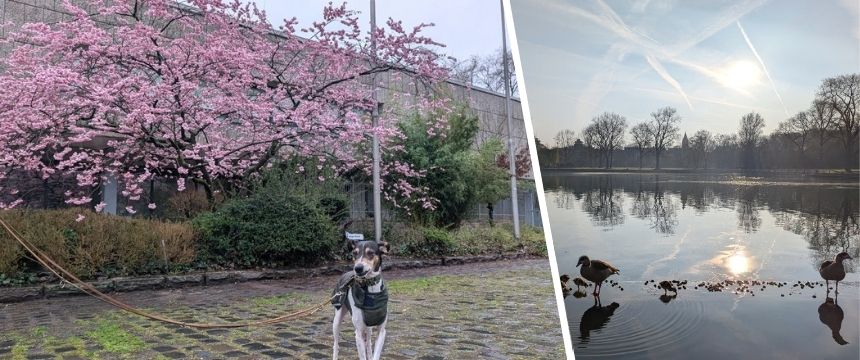 ドイツの街角から〜夏時間と冬時間の切り替え〜