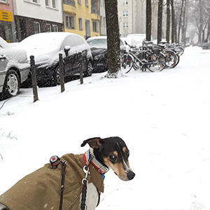 タビィにとって人生の初雪。