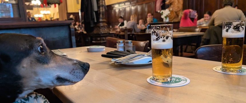 ドイツの街角から～ケルンのビール文化について～