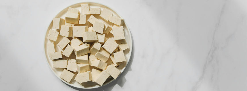 【獣医師監修】犬には豆腐を与えて大丈夫。メリットや注意点、ダイエットに役立つ手作りレシピ