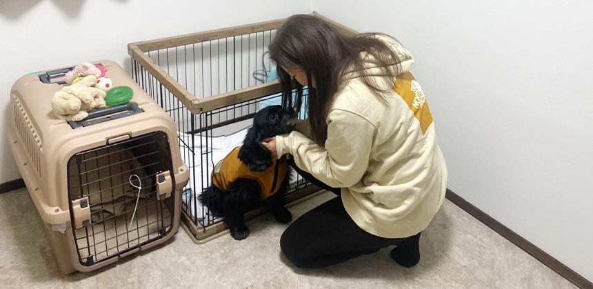 本橋さんが2025年1月現在一時預かりをしているノアくんのお世話をする、松村さん