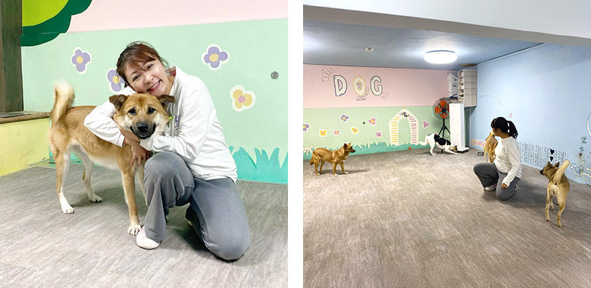 福本美帆さんと、シェルターにいる保護犬。シェルターには犬部屋が４つと猫部屋が１つあります