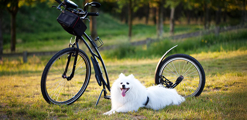 うちの子がほかの人の持ち物を壊さないようにも気をつけましょう