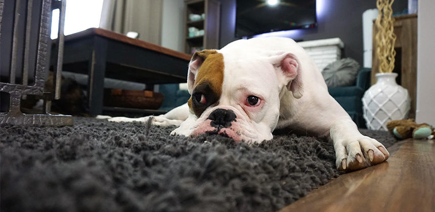 ラグやカーペットを敷くだけで階下への騒音対策になります