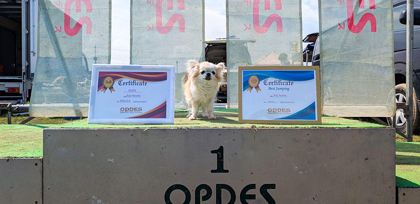 OPDESの大会の表彰台の上のいりすちゃんは、誇らしげな表情（写真提供：なかしまさん）