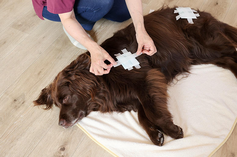 褥瘡パットは毎日取り換えてあげましょう
