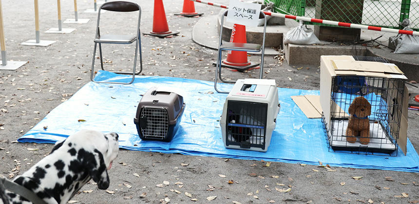 保護スペースでも、同室避難ができる避難所でも、ほとんどのケースでケージに入って過ごすことになります。