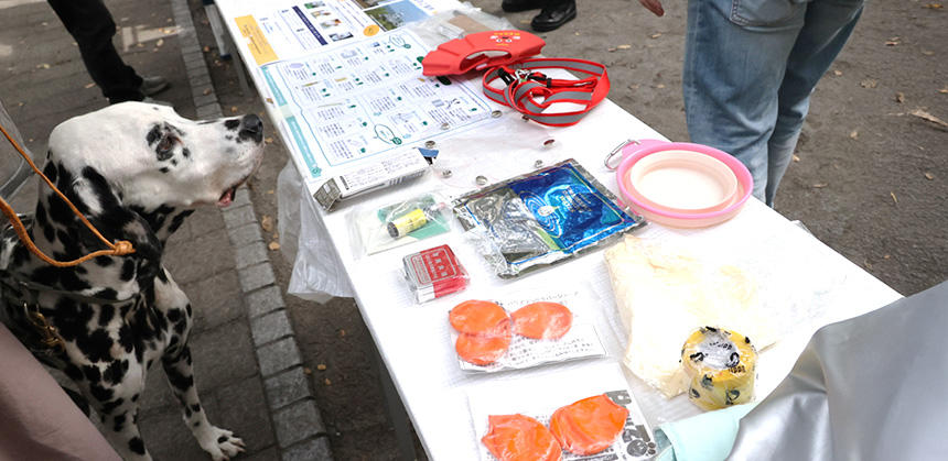犬のために備えておきたいグッズの展示コーナー