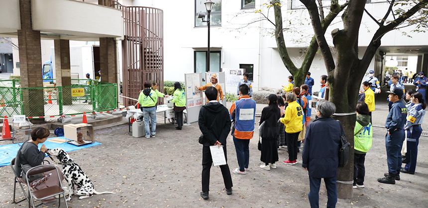 地元の自治体でペット同伴の防災訓練があるか、調べて参加するのもおすすめ