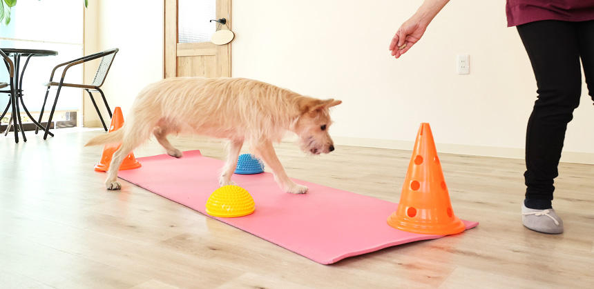 室内でも頭と身体を使ったアンチエイジングエクササイズはできます！