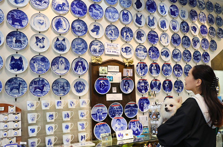 美術品を鑑賞しているかのようで、見ていて飽きない約150枚のドッグプレート