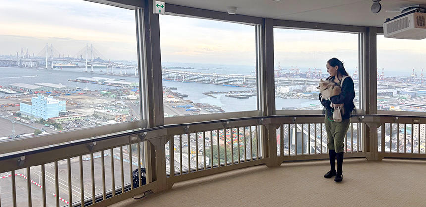 写真左の横浜ベイブリッジなど、ぐるりと１周しながら海から山まで360度パノラマの眺望を堪能