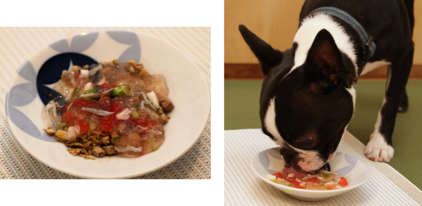 ドライフードなどに特製ジュレを絡めれば、おいしく食べてくれる確率アップ