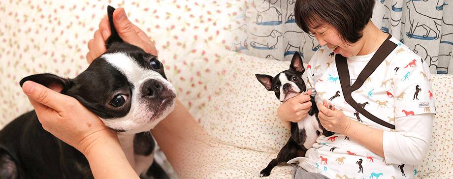 【＃ケアシリーズ】夏に最適なマッサージ＆ツボ圧し＆食事の工夫を獣医師が伝授