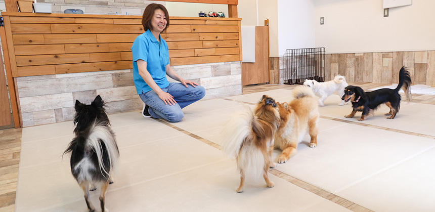 ほかの犬との社会化ができるのが、犬の通園型しつけ教室の大きなメリット