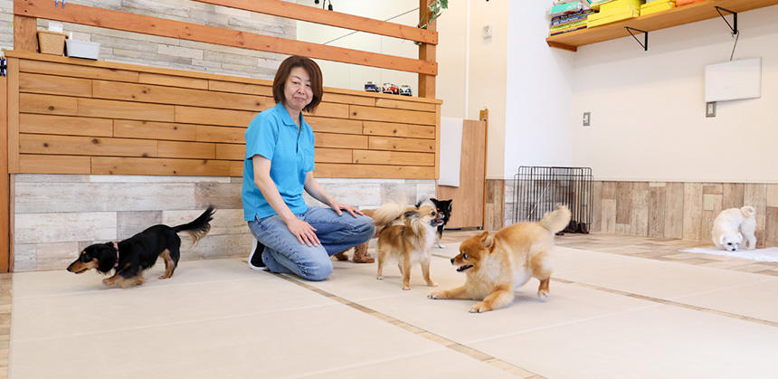 右側に注目を。幼稚園生活でしっかりトイレトレーニングもマスター！