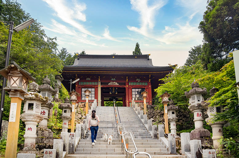 明治期の神仏分離以前は仁王門であったといわれる「随身門」