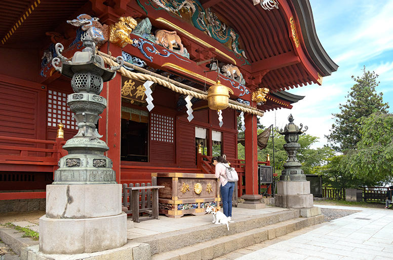 本殿の前に位置し「西の護り」としてかつての江戸幕府を見守る幣殿・拝殿