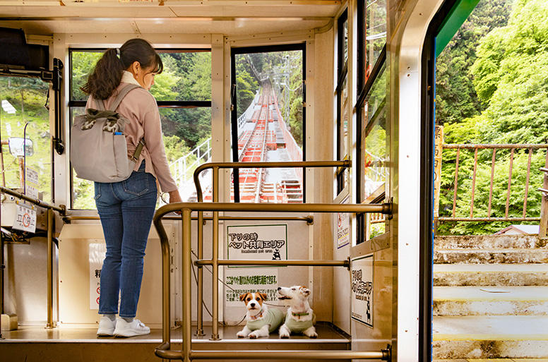 「自然やパワースポットを満喫できたね」