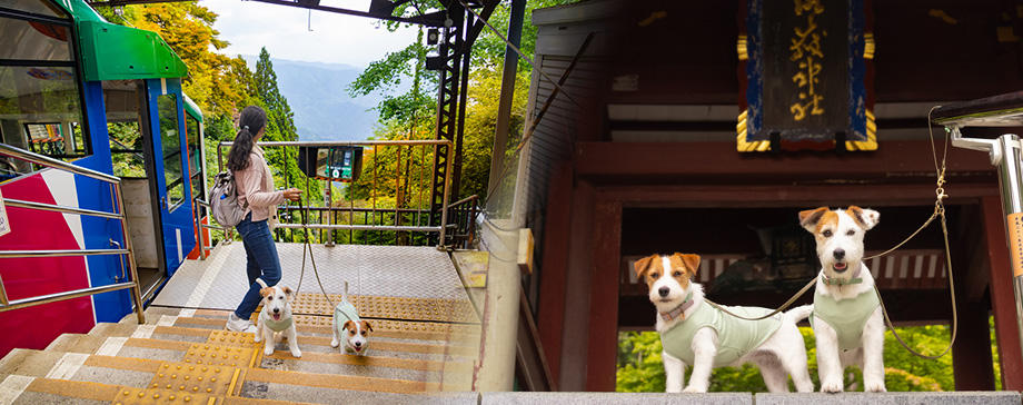 【＃犬とお出かけ】