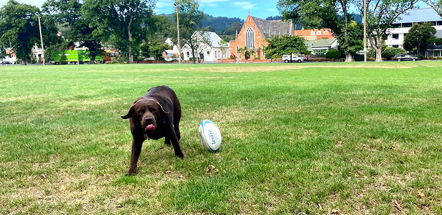 筆者に「投げて～」と催促。もちろん応じました