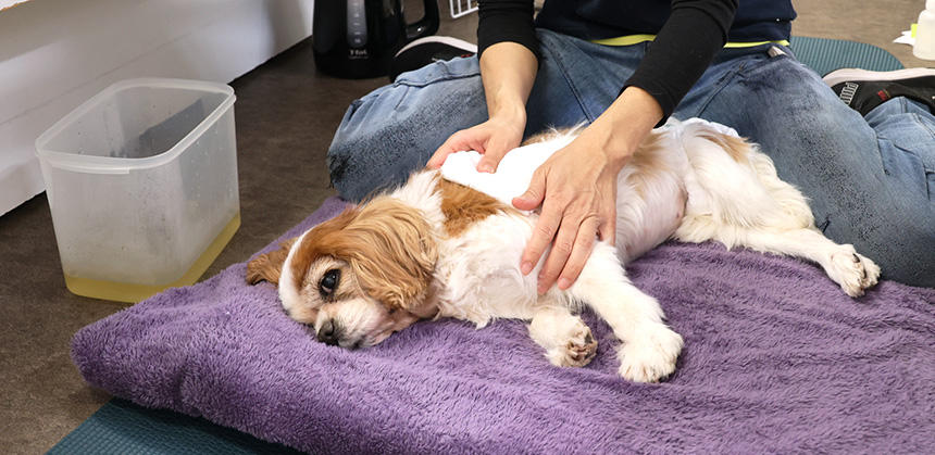 ハーブのホットパックにうっとりした表情