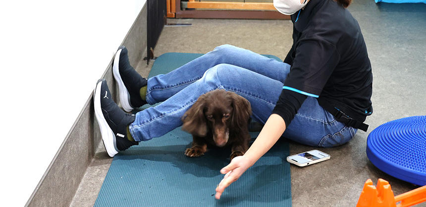 筋力アップのために行うエクササイズ