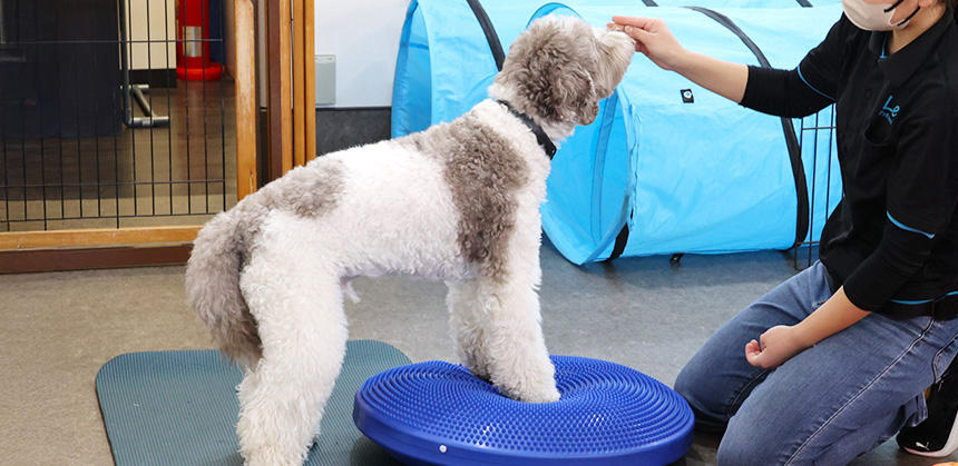 体幹トレーニングで良好な姿勢を保てるようにすることも大切