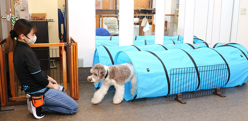 運動習慣と脳トレで寝たきりを予防