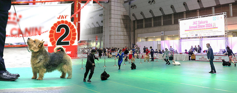【＃イベントレポ】レア犬種や美しい姿を見にアジア最大規模のドッグショーへ！