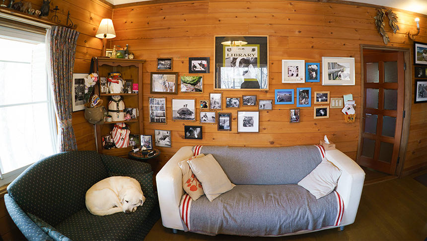 以前住んでいた別荘のリビング。左隅のコーナーラックに骨壷を置いていた