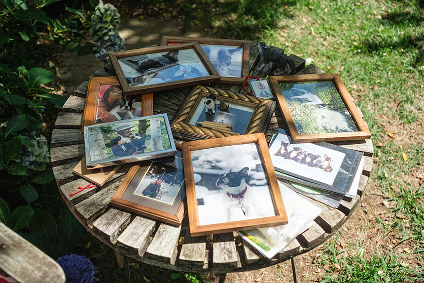 遺骨と一緒に飾っている思い出の写真