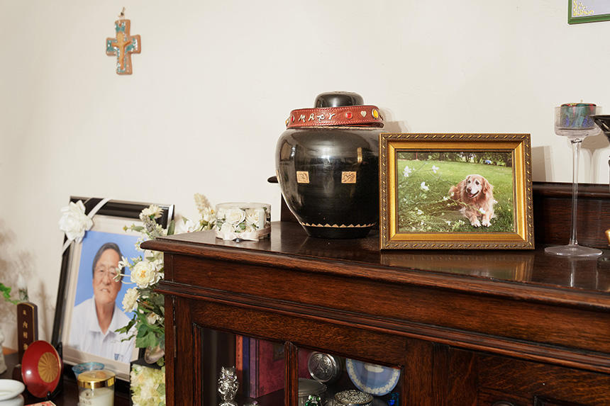 父の遺影と並ぶ、自宅リビングのマリーのお骨