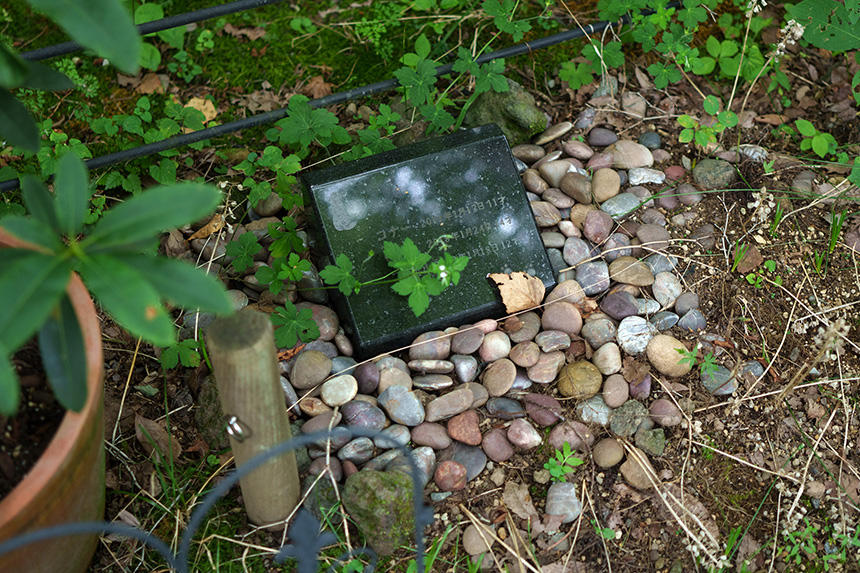 親戚宅のコナーと猫たちのお墓