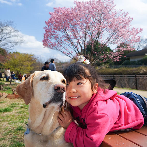 お孫さんとラリー＝2016年撮影